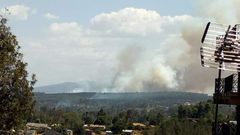 A section of Ngong Forest on fire (Twitter)