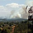 A section of Ngong Forest on fire (Twitter)