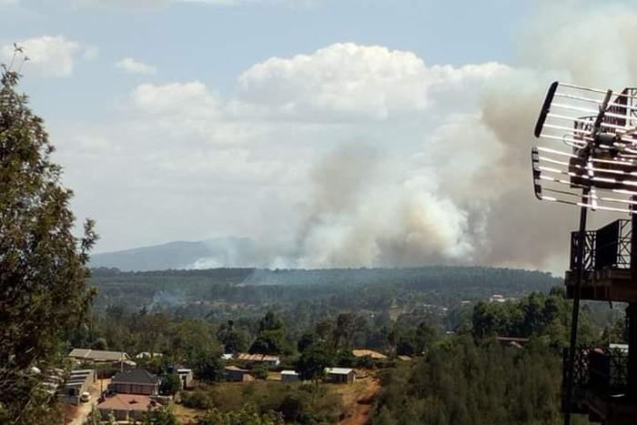 A section of Ngong Forest on fire (Twitter)