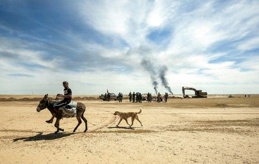 A displaced Iraqi man rides a donkey, followed by his dog, on April 26, 2017 as pro-government paramilitary forces advance on the ancient city of Hatra, southwest of of Mosul, during an offensive to retake the area from the Islamic State group