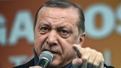 Turkish President Recep Tayyip Erdogan criticised the Swiss for hosting a Kurdish rally in Bern warning that "you will reap what you have sown"