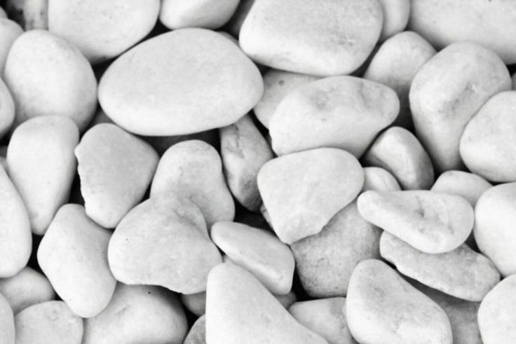 Dr. Pimple Popper Just Extracted 7 Different Zits