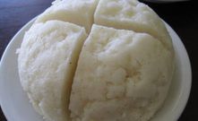 Ugali