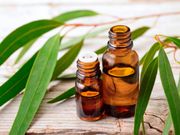 Eucalyptus oil(Dr. Weil)