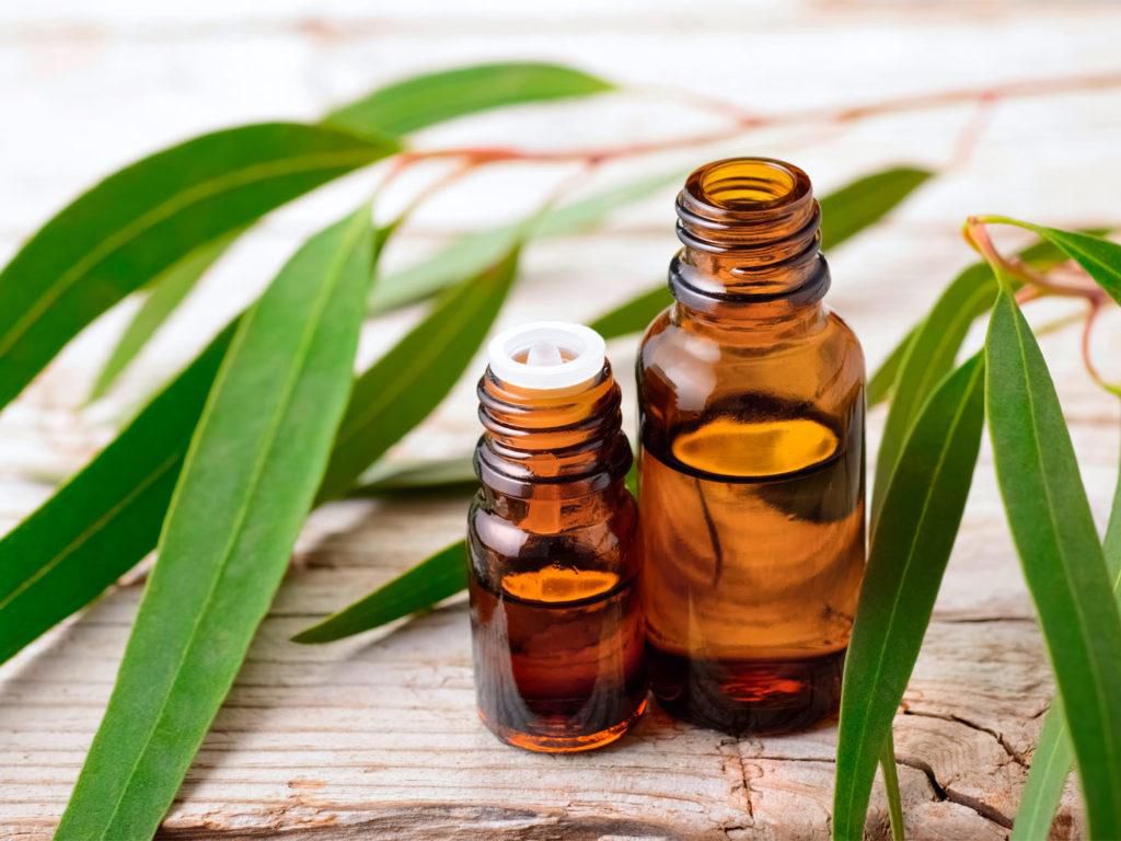 Eucalyptus oil(Dr. Weil)