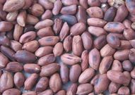 Roasted groundnuts(cookpad)
