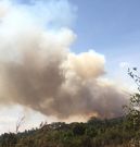 A section of Ngong Forest on fire (Twitter)