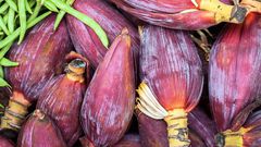Benefits of banana flower(Greatfood)