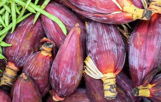 Benefits of banana flower(Greatfood)