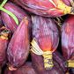 Benefits of banana flower(Greatfood)