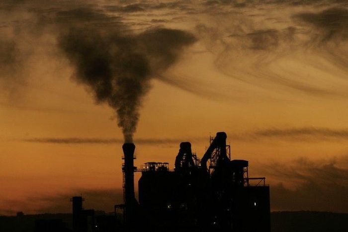 German Chancellor Angela Merkel pledged "more decisive action than ever" to protect the climate