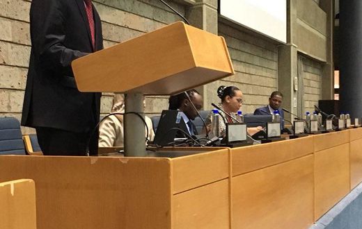 Walter Mong'are alias Nyambane during a past address (Twitter)