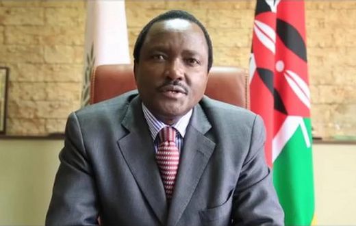 ___6506371___https:______static.pulse.com.gh___webservice___escenic___binary___6506371___2017___4___10___9___Kalonzo