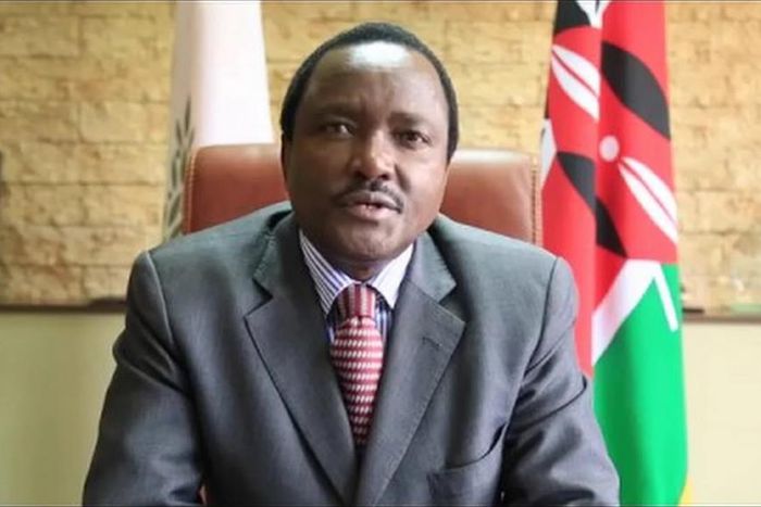 ___6506371___https:______static.pulse.com.gh___webservice___escenic___binary___6506371___2017___4___10___9___Kalonzo