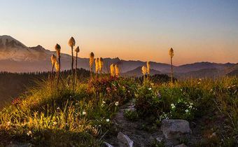 'Protecting' a wilderness, trammeling it, too