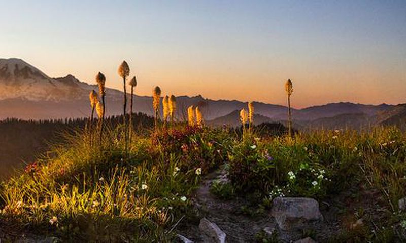 'Protecting' a wilderness, trammeling it, too
