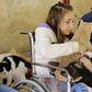 Syrian volunteers play with animals at a farm-turned-shelter run by the Syrian Team for Animal Rescue (STAR), in Sahnaya near Damascus