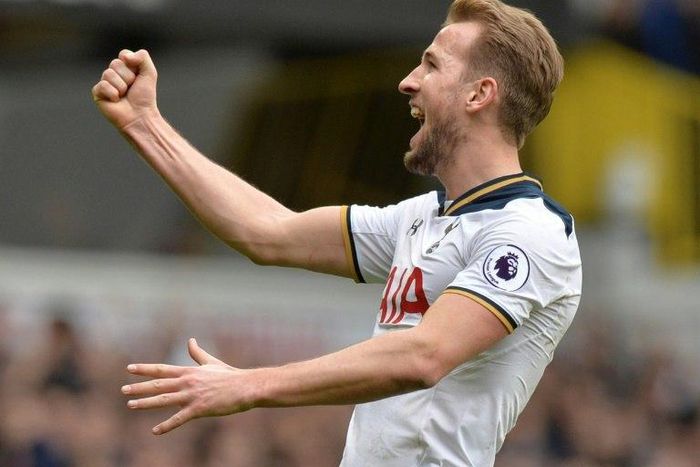 Tottenham Hotspur's Harry Kane celebrates scoring his third goal against Stoke at White Hart Lane on February 26, 2017