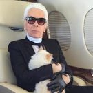 Fashion designer Karl Lagerfeld 's Cat