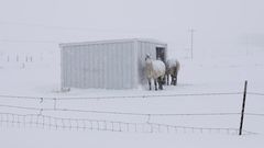 Nursing Home Closed; a New One Was Hours Away