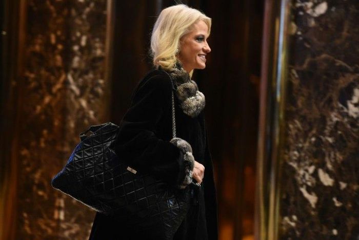 Kellyanne Conway, a top aide to President Donald Trump, gave Ivanka Trump's clothing a rave review during an interview with the Fox network, an apparent breach of ethics rules