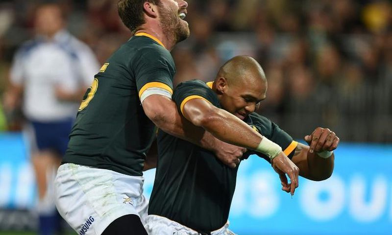 Springbok winger Cornal Hendricks (R) celebrates scoring a try against New Zealand in a 2014 Rugby Championship match in Wellington