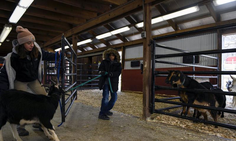 Lessons Learned, by Way of a Barn