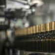Wine production is likely to reach 259 million hectolitres, a decrease of 5 percent compared with 2015