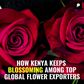 How Kenya Keeps Blossoming Among Top Global Flower Exporters
