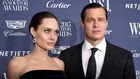 Angelina Jolie Pitt filed for divorce from Brad Pitt in September and is seeking sole custody of their six children