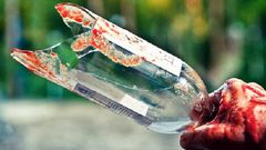 A broken bottle used as weapon of attack