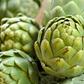 Are Artichokes Legit Healthy?