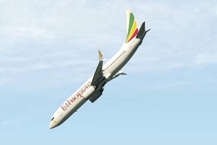 An illustration of the crash (Twitter)