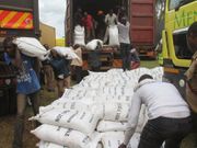 Suspected contraband sugar being offloaded from trucks after police impounded a truck full of them