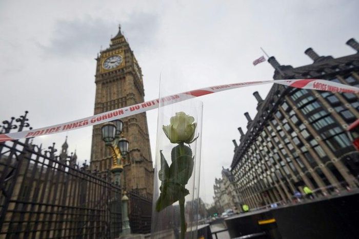 A flower left in tribute to the victims of the London March 22 terror attack placed next to the Palace of Westminster