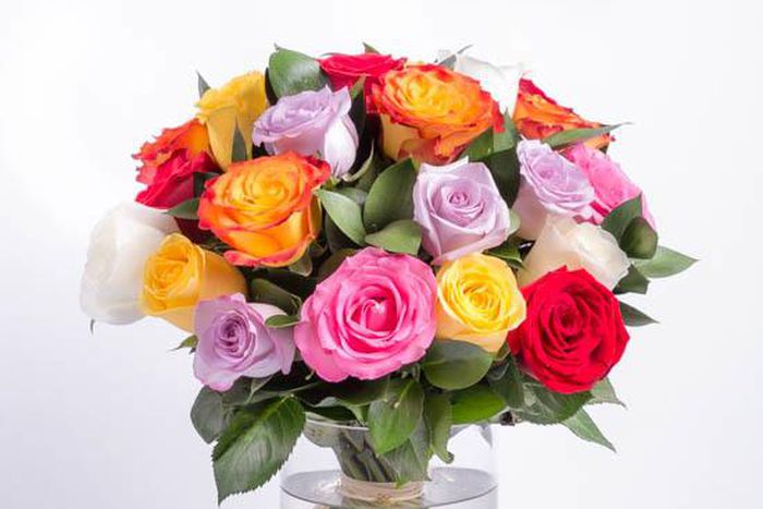 Fresh roses (Courtesy)