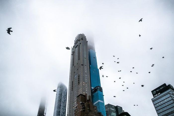 Even in Jaded New York, a $238 Million Penthouse Turns Heads