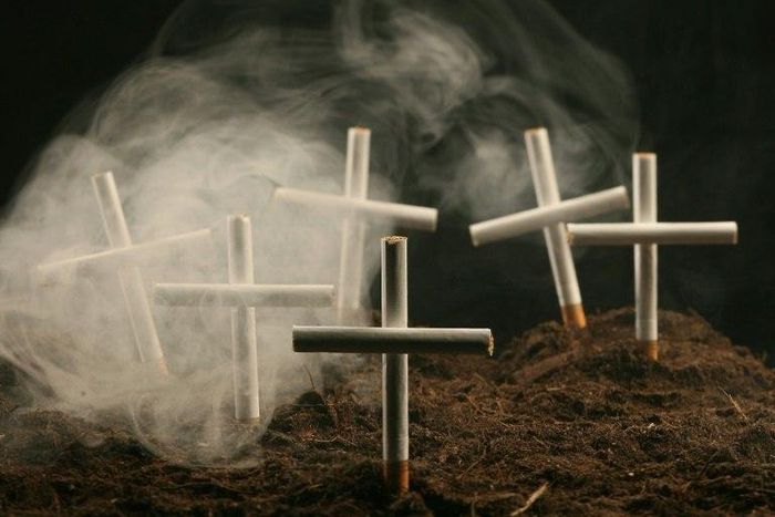 Tobacco currently kills around six million people each year, according to the World Health Organisation