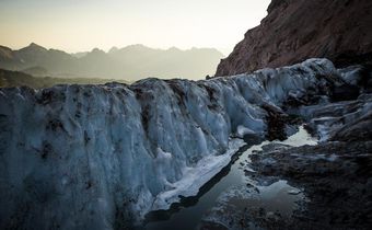 'When the Glaciers Disappear, Those Species Will Go Extinct'