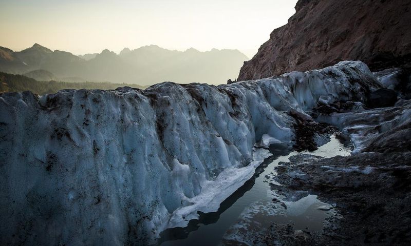 'When the Glaciers Disappear, Those Species Will Go Extinct'