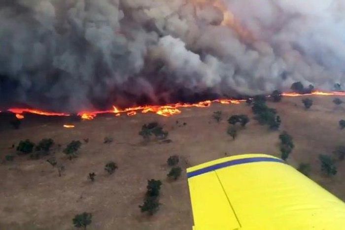 While bushfires ravage the Australian landscape every year, land and sea temperatures have been pushed up due to climate change, increasing the severity of fire seasons