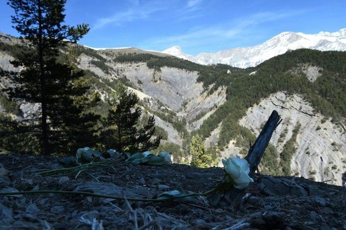 The Germanwings plane was deliberately crashed into a mountainside in the French Alps in March 2015 by suicidal copilot Andreas Lubitz