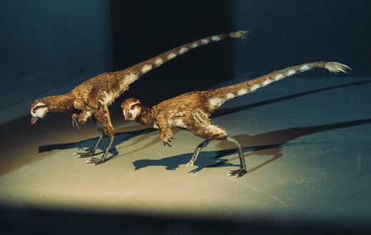 He listed a T. Rex fossil on eBay for $2.95 million, scientists weren't thrilled