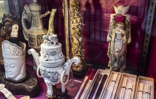 Hong Kong, Crossroads of the Criminal Wildlife Trade