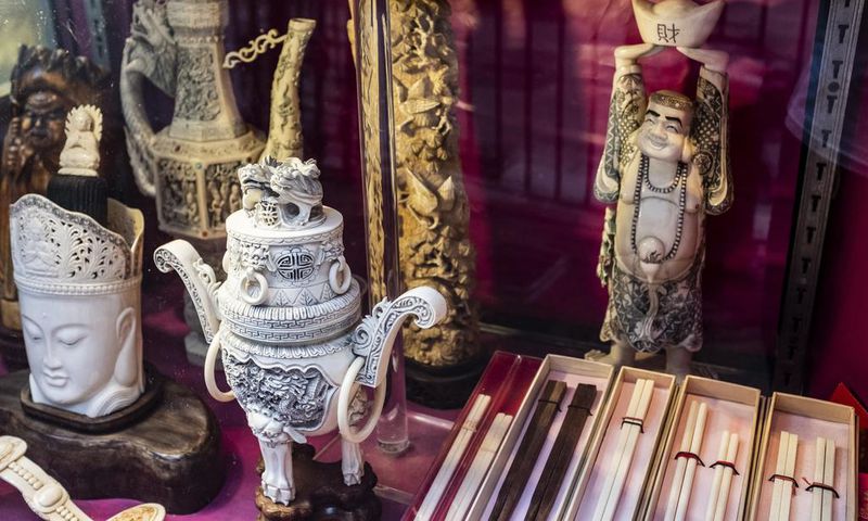 Hong Kong, Crossroads of the Criminal Wildlife Trade