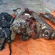 Five frozen tigers seized by local authorities in central Vietnam's Nghe An province, pictured on March 20, 2017