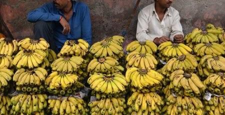Banana (Courtesy)