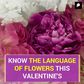 Know The Language of Flowers This Valentine's