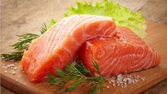 Fatty fish(Z Living)