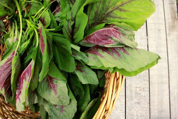 Amaranth greens(Organic Authority)